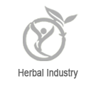 Industries We Serves